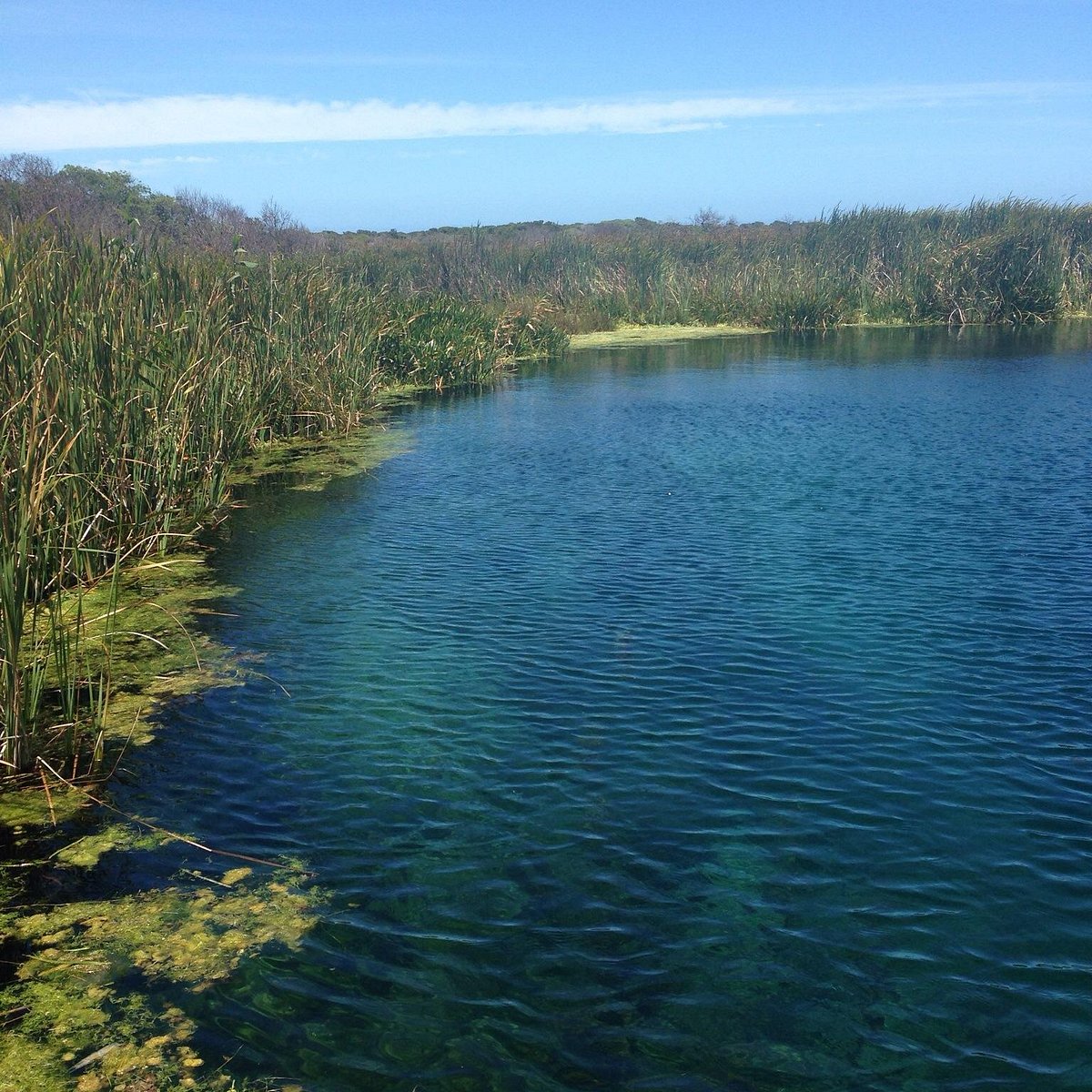 Tragic Cave Diving Incidents in Piccaninnie Ponds