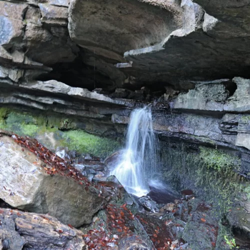 Tragedy at Wales Cave Complex: The Demise of Bonnie Cotier