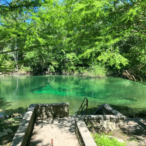 Tragic Incident at Little River Springs in Florida: The Story of Jerry Duwayne Beets