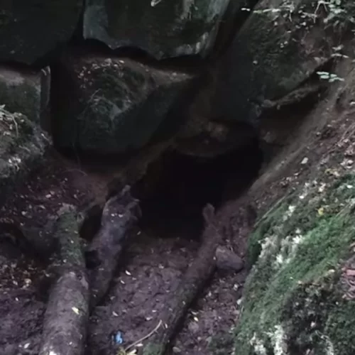 Tragic Loss: The Demise of Artur Kozlowski in Pollonora Cave