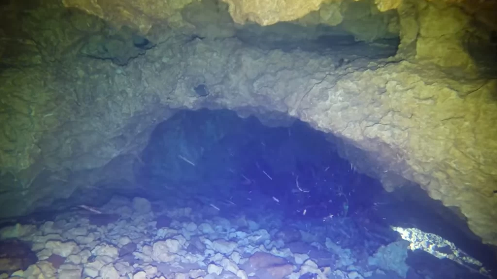 Radium Springs Cave