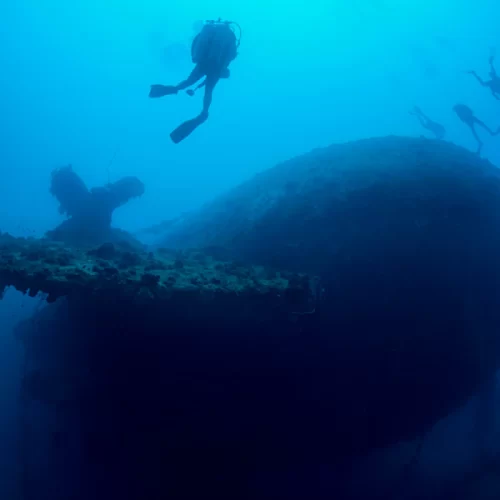 Tragic Fate: The Diving Expedition of Chris and Chrissy Rouse