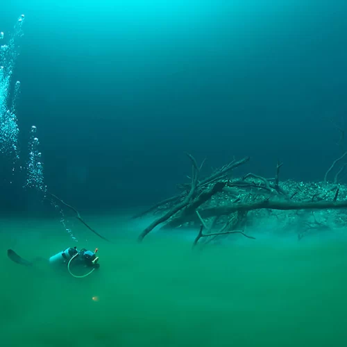 Chilling Depths: The Haunting Tale of Lucia’s Descent into the Abyss of Cenote Angelita