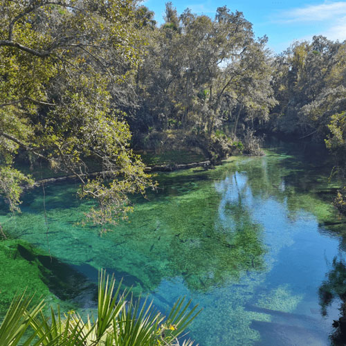 Tragedy at Blue Springs State Park: Remembering Samuel Slack