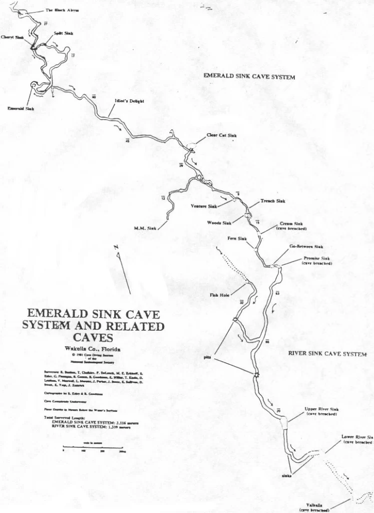Leon Sinks - Emerald Sink cave map USA