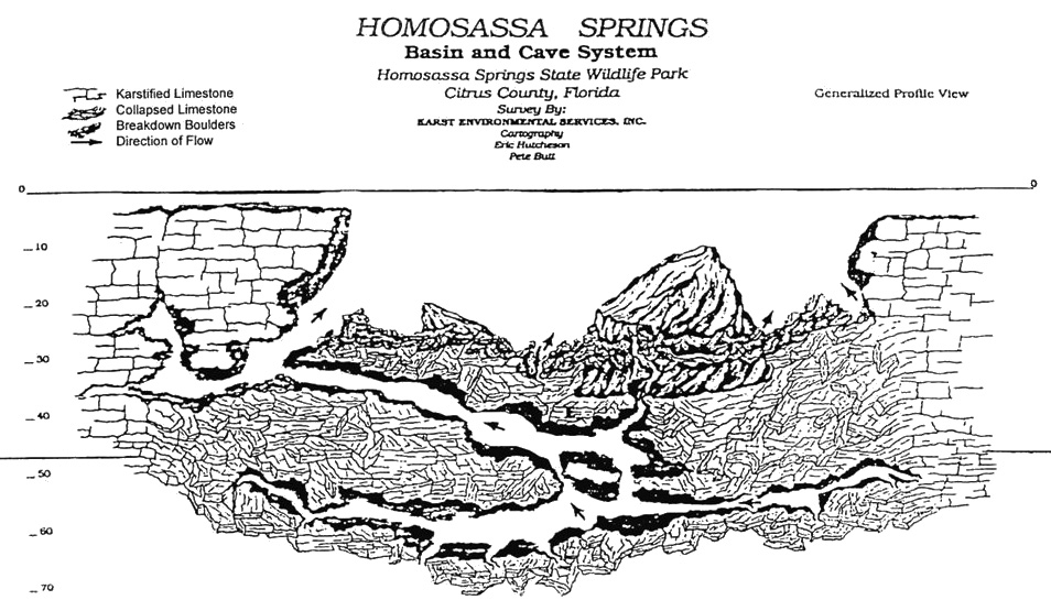 Homosassa Springs USA profile