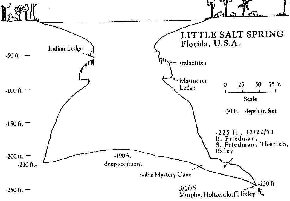 Little Salt Spring USA map