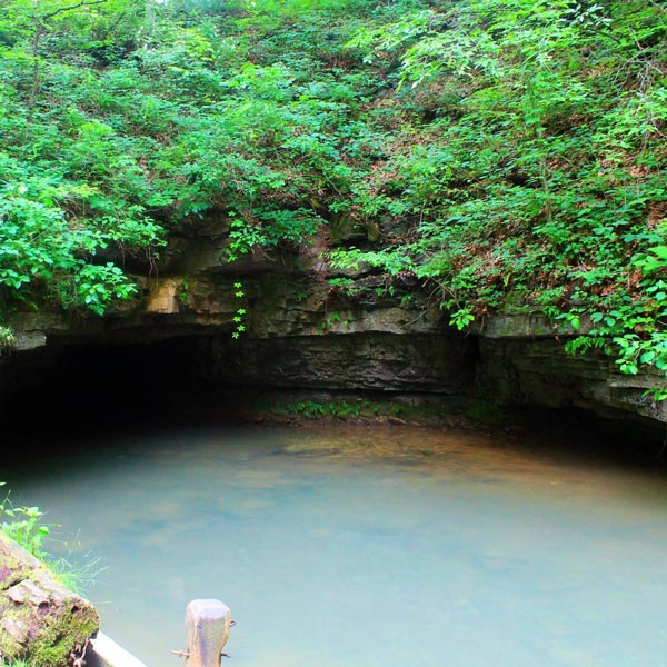 Dive into Darkness: Raymond’s Heart-Stopping Descent into Twin Caverns