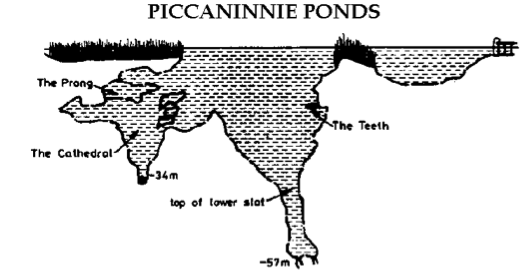 Piccaninnie Ponds Australia