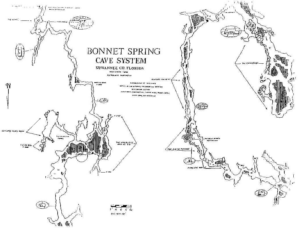 Bonnet Springs USA map