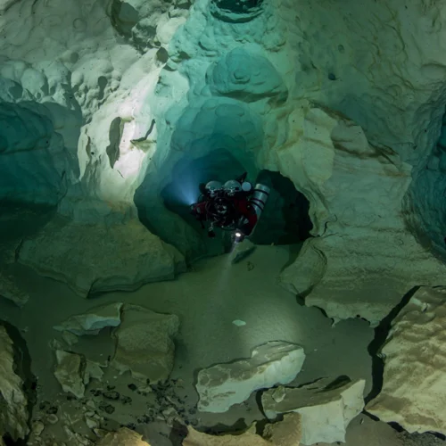 Diving Disaster at Indian Springs: Ella Parker’s Heart-Wrenching Tale