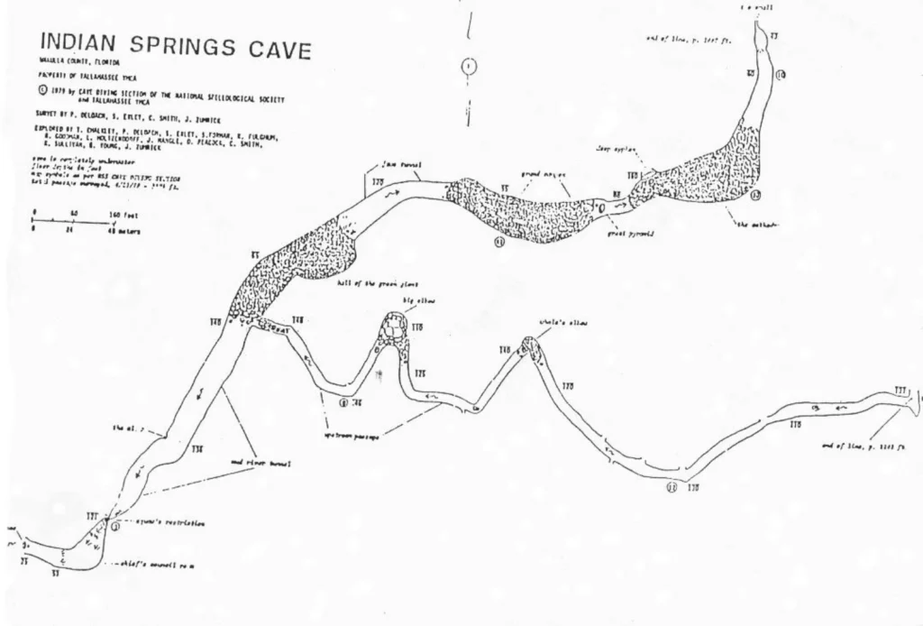 Indian Springs USA map