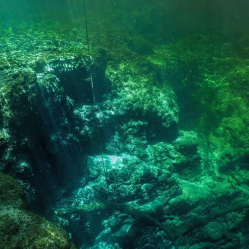 Death in the Devil’s System: Mike Schultz’s Final Dive at Ginnie Springs
