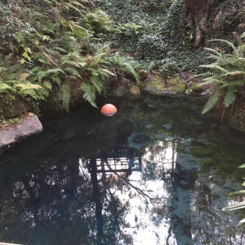 Paradise Springs Tragedy: How Jake Miller’s Dive Turned Into a Nightmare