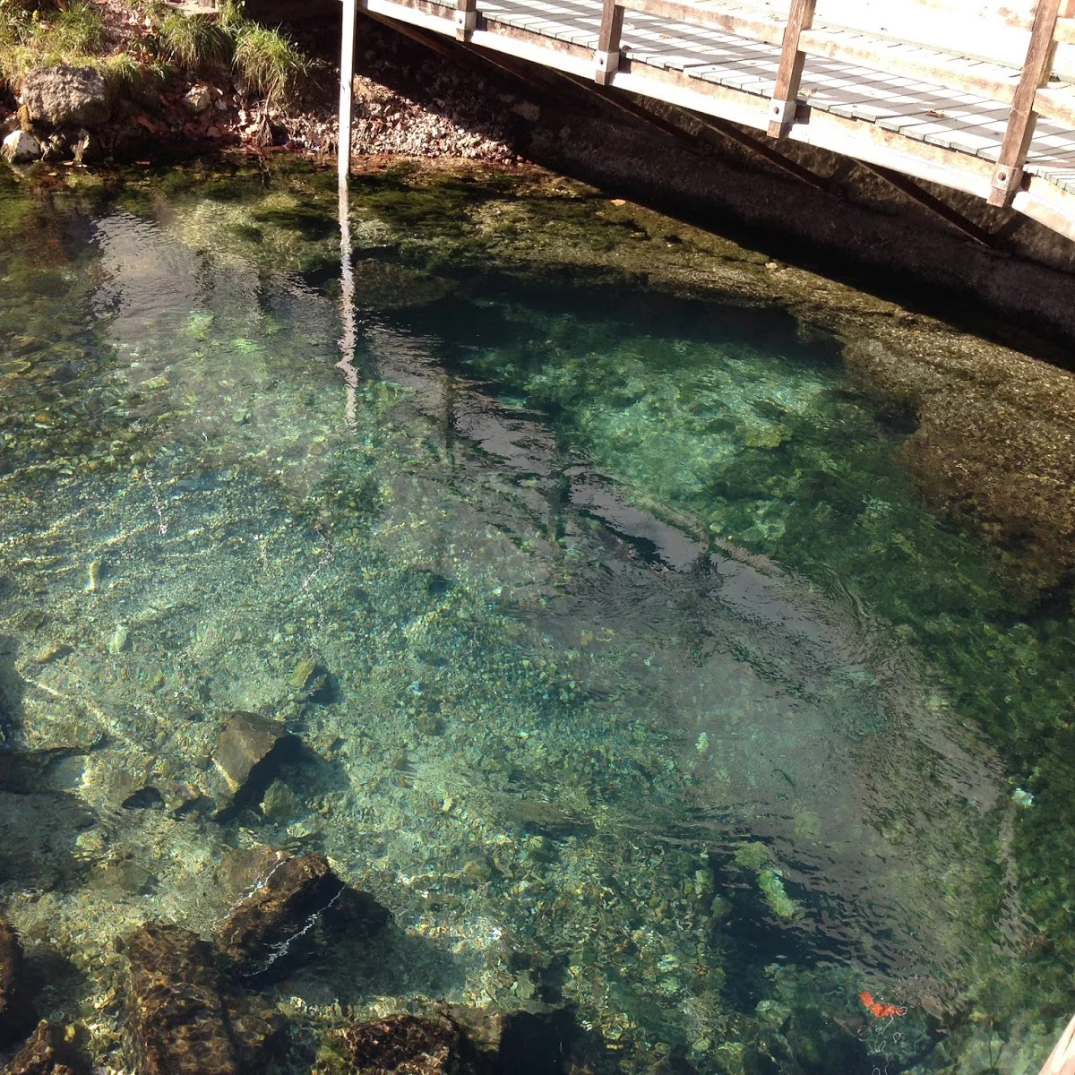 Tragedy in Roubidoux Spring Cave: The Fatal Dive of Steven Wyra