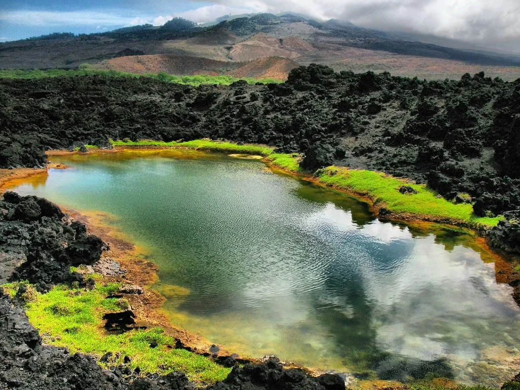Aihihi-Kinau Natural Area Reserve