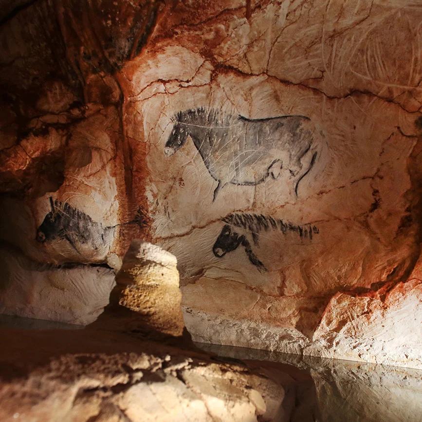 Cosquer Cave Revealed: A Journey Into the Depths of Prehistoric Europe