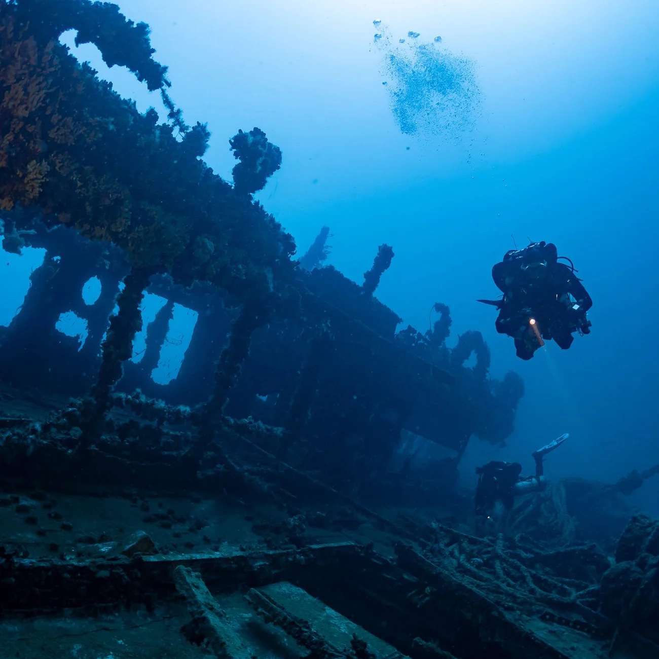 Tragedy at the Le Polynesian Wreck: How Krzysztof and Dominik’s Dive Turned Fatal