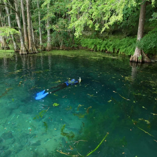 Clyde Rorex’s Fatal Air Loss at Hole in the Wall Cave Uncovered