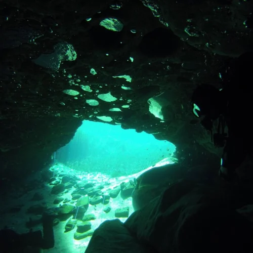 Trapped in Jackson Blue Spring: How Edd Sorenson Helped Save a Lost Cave Diver