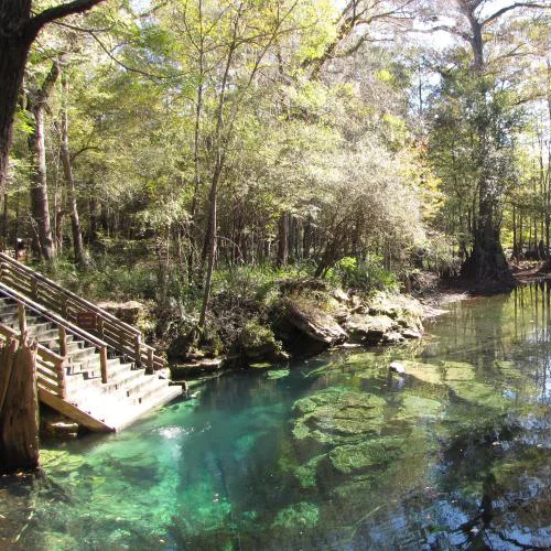 Lost in the Depths: Patricia Barkley’s Final Dive at Peacock Springs