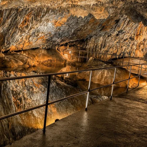 Tragedy in Kossuth Cave: The Heart-Stopping Final Dive of Martin ‘Marcy’